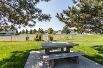 Outdoor dog park surrounded by lush green grass and a picnic table.